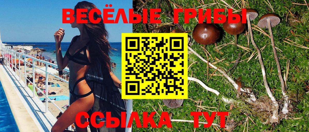 Псилоцибиновые грибы мицелий  Галлюциногенные грибы MAGIC MUSHROOMS  купить наркотик  Вход с VPN  Грозный 