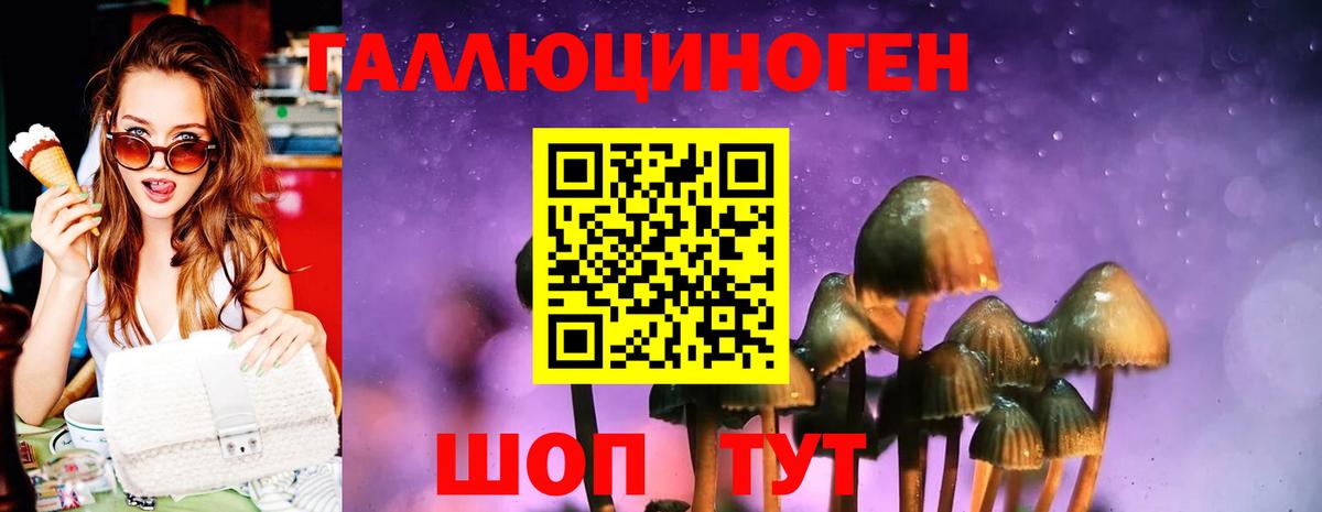 Галлюциногенные грибы MAGIC MUSHROOMS Грозный